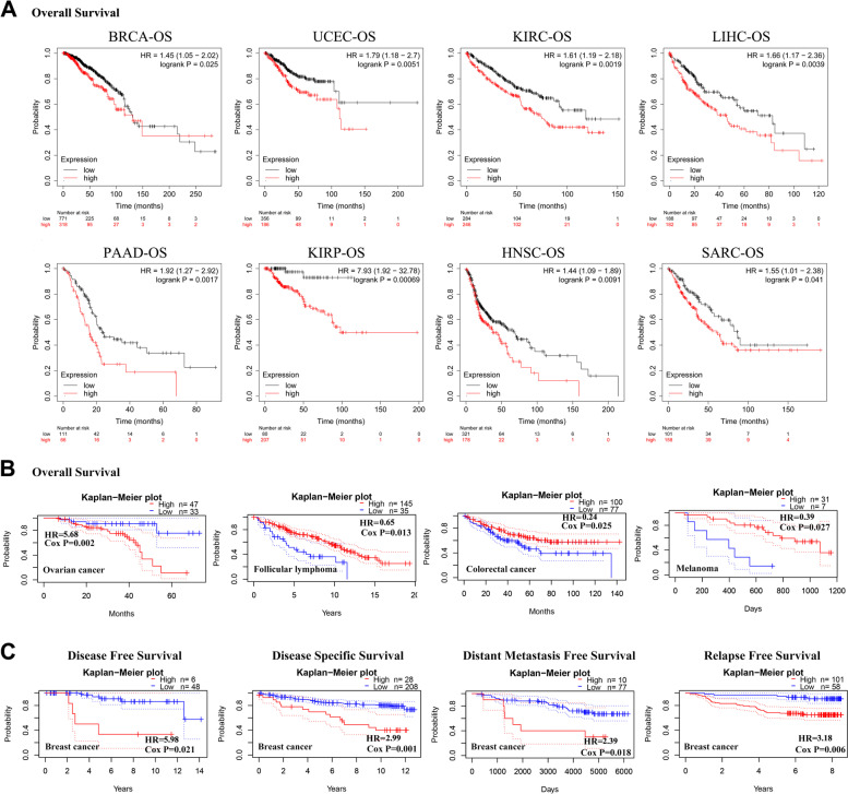 PMC10163697 – Fig4