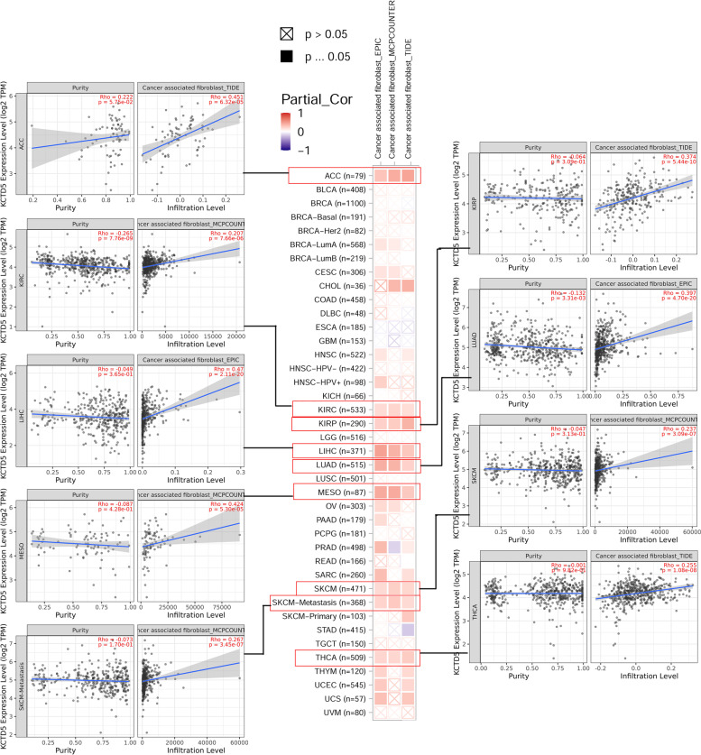PMC10163697 – Fig6