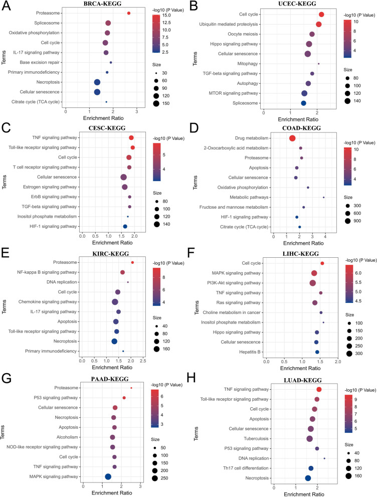 PMC10163697 – Fig8