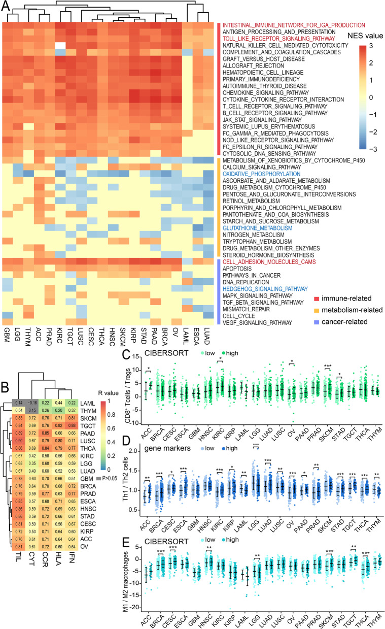 PMC10251564 – Fig2