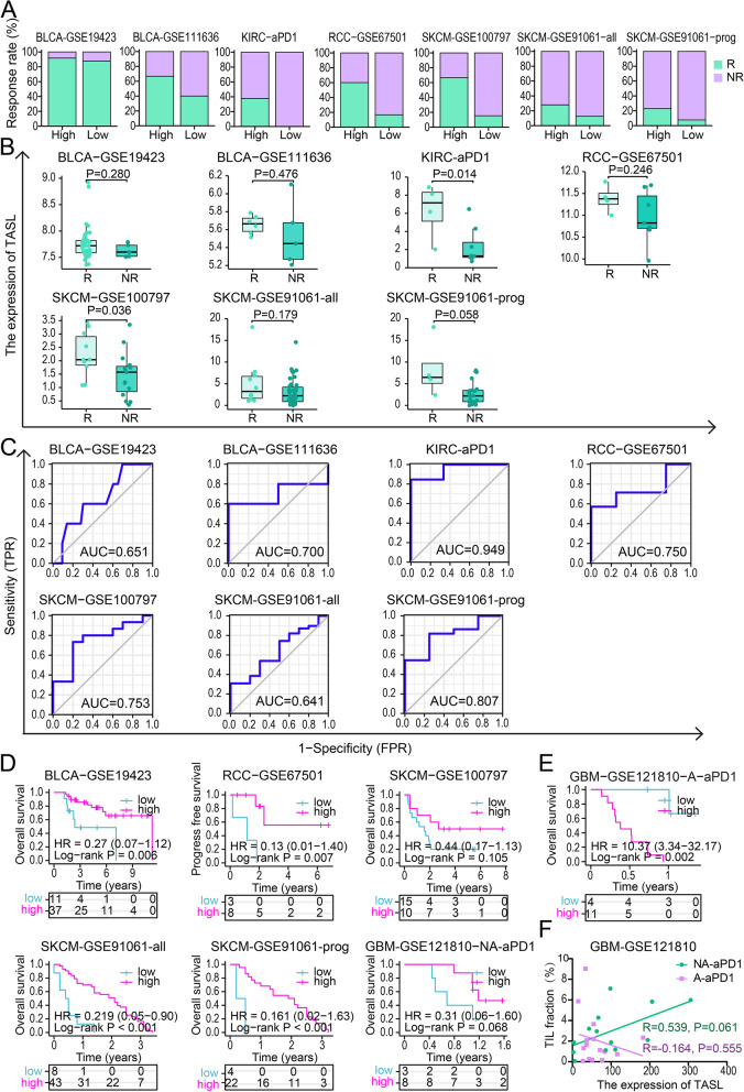 PMC10251564 – Fig4