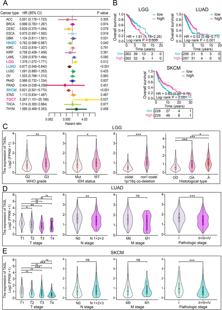 PMC10251564 – Fig5