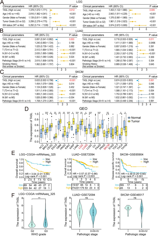 PMC10251564 – Fig6