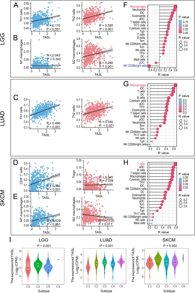 PMC10251564 – Fig7