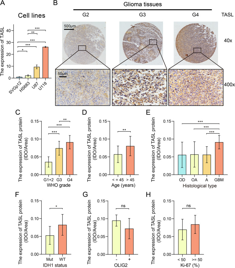 PMC10251564 – Fig8