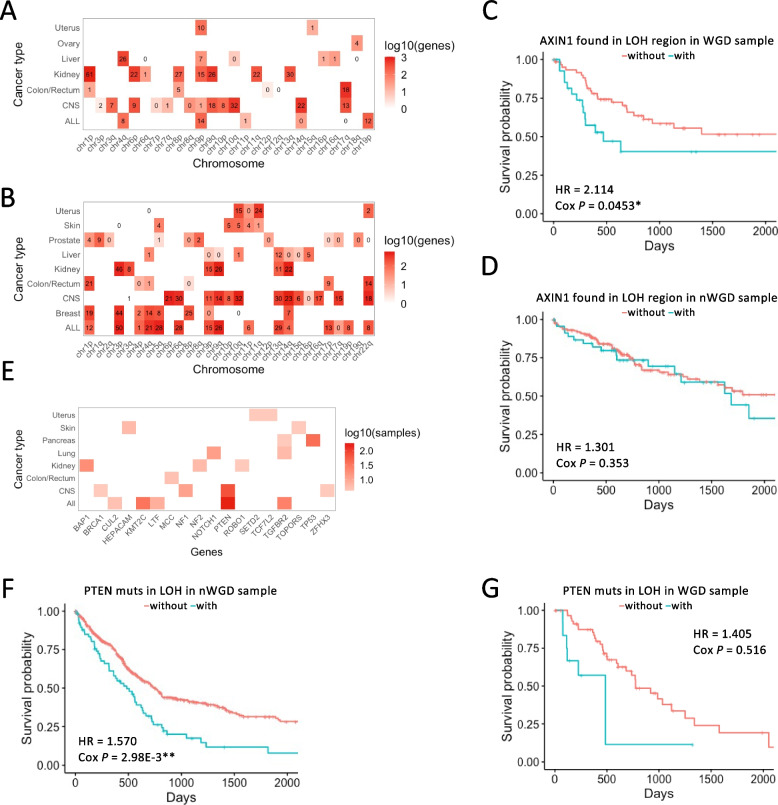 PMC10318685 – Fig4