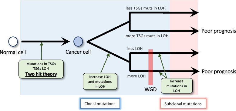 PMC10318685 – Fig5