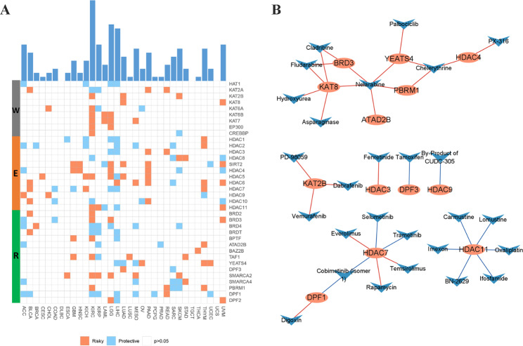 PMC10408135 – Fig4