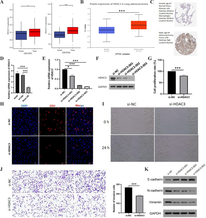 PMC10408135 – Fig6