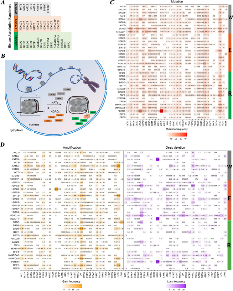 PMC10408135 – Fig1