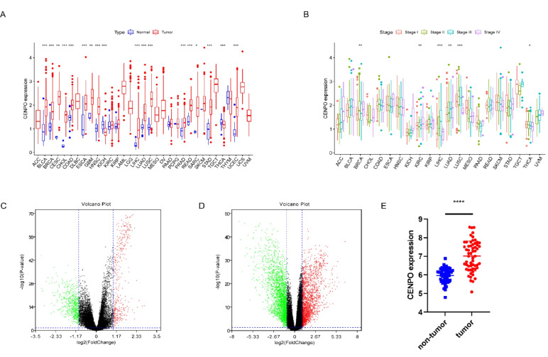 PMC10410993 – Fig1