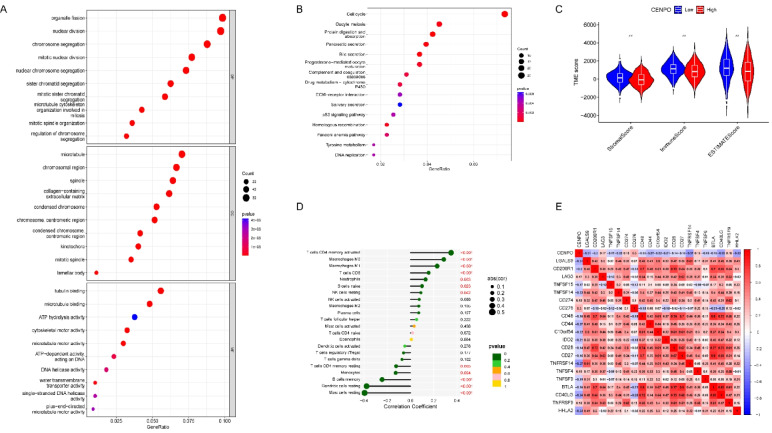 PMC10410993 – Fig7