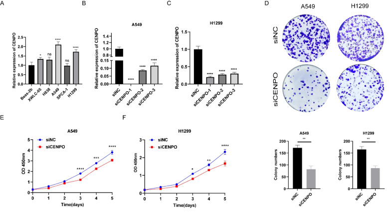PMC10410993 – Fig9