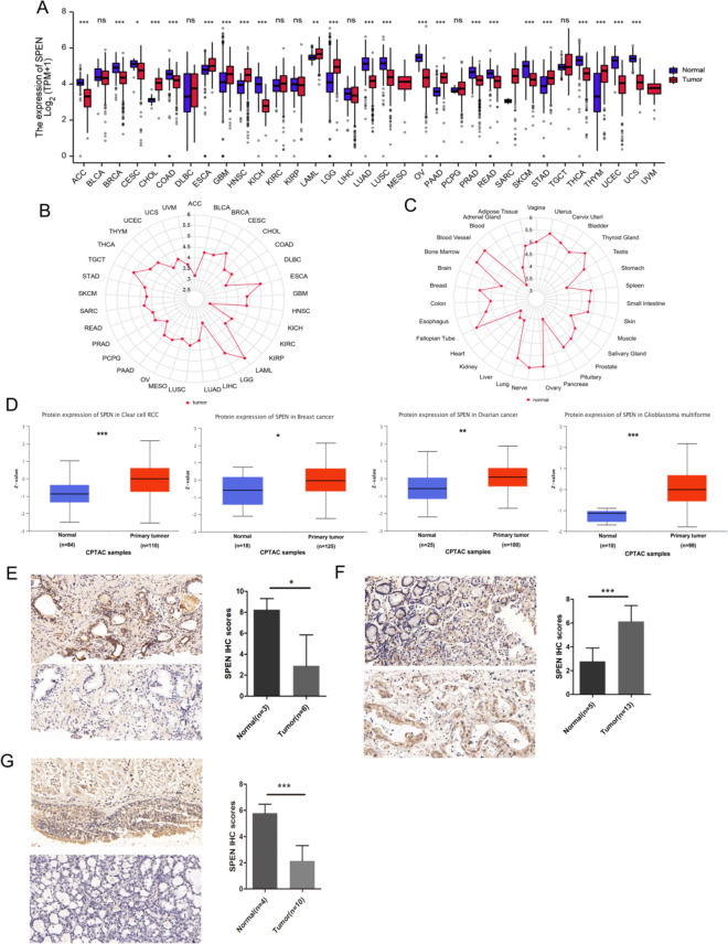 PMC10463702 – Fig1