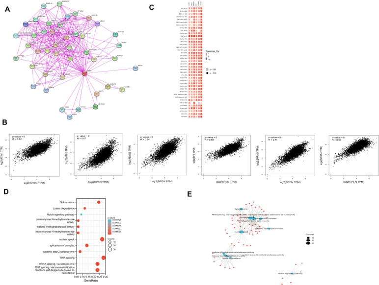 PMC10463702 – Fig4