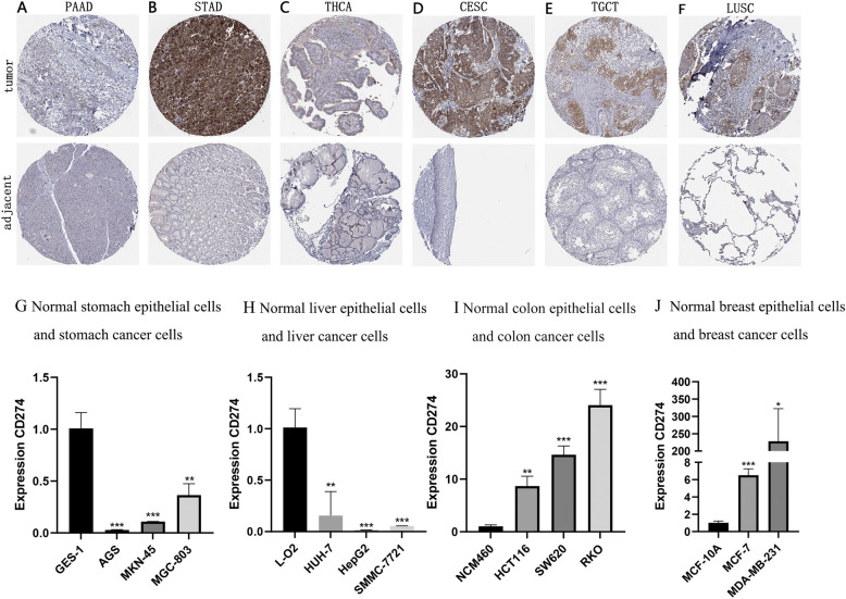 PMC10763229 – Fig10
