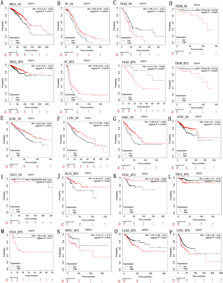 PMC10763229 – Fig3