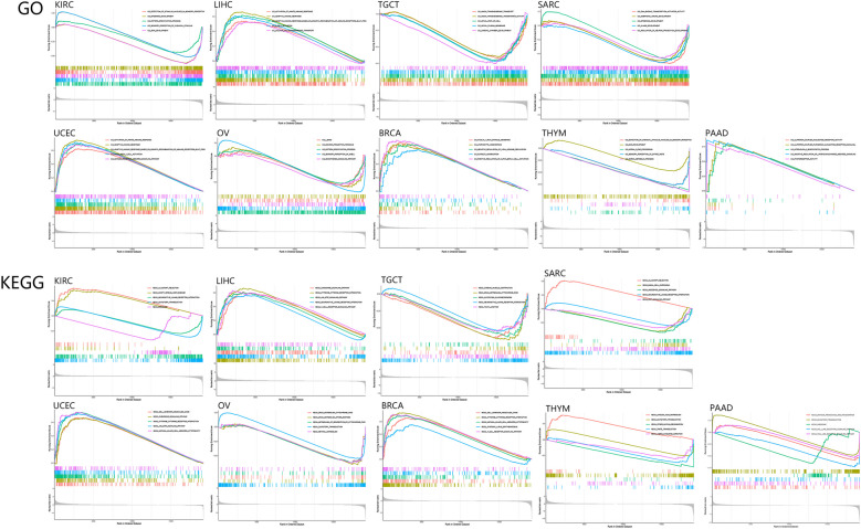PMC10763229 – Fig9