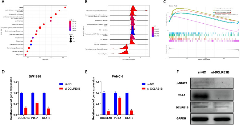 PMC10629169 – Fig10