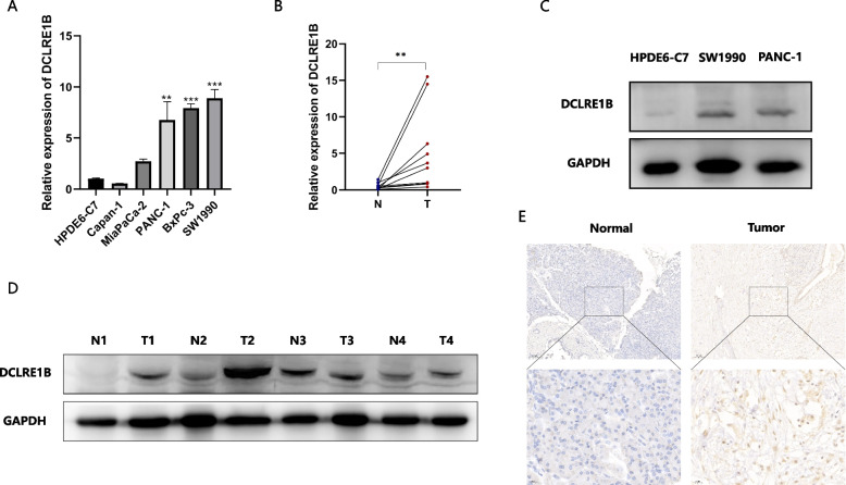 PMC10629169 – Fig2