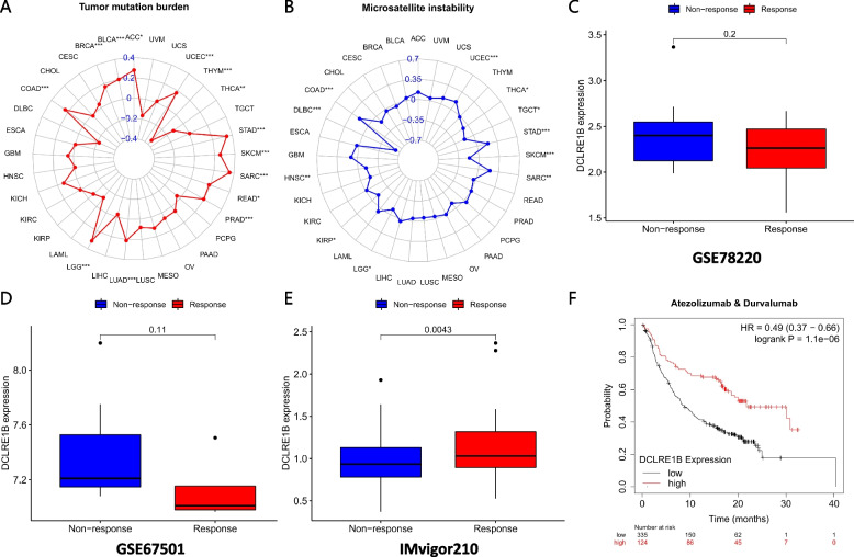 PMC10629169 – Fig7