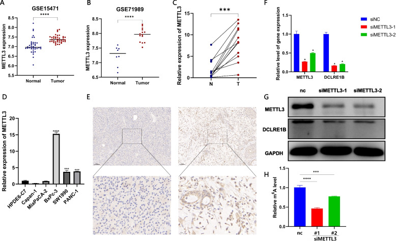 PMC10629169 – Fig9