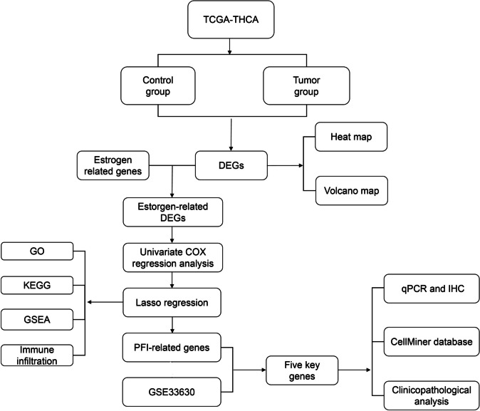 PMC10619281 – Fig1