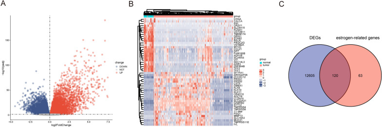 PMC10619281 – Fig2