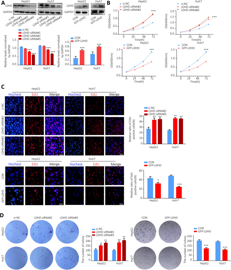 PMC10829303 – Fig10