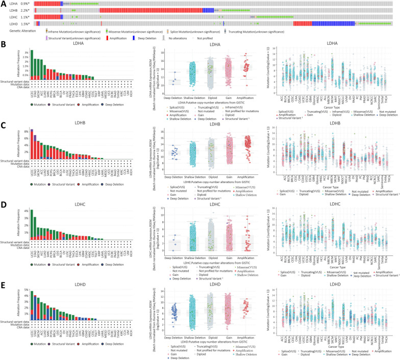 PMC10829303 – Fig4