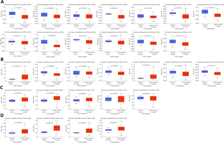 PMC10829303 – Fig5