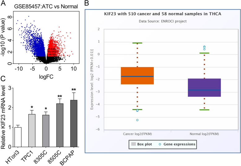 PMC10870498 – Fig1