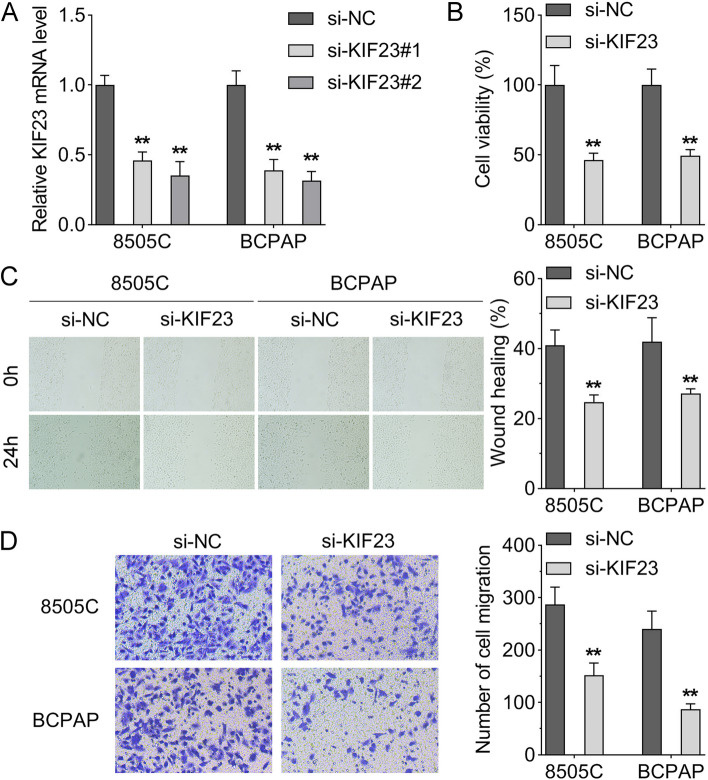 PMC10870498 – Fig2