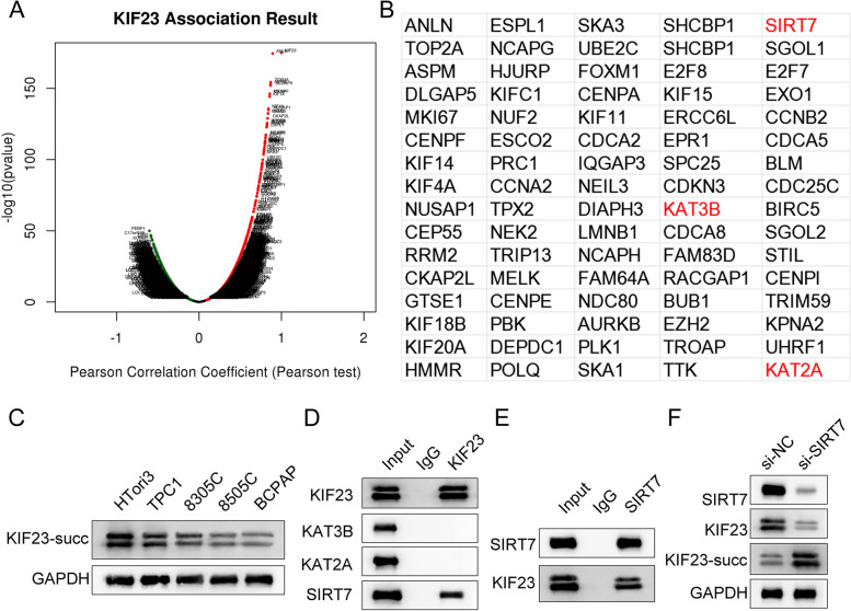 PMC10870498 – Fig3