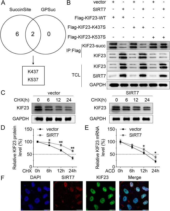 PMC10870498 – Fig4