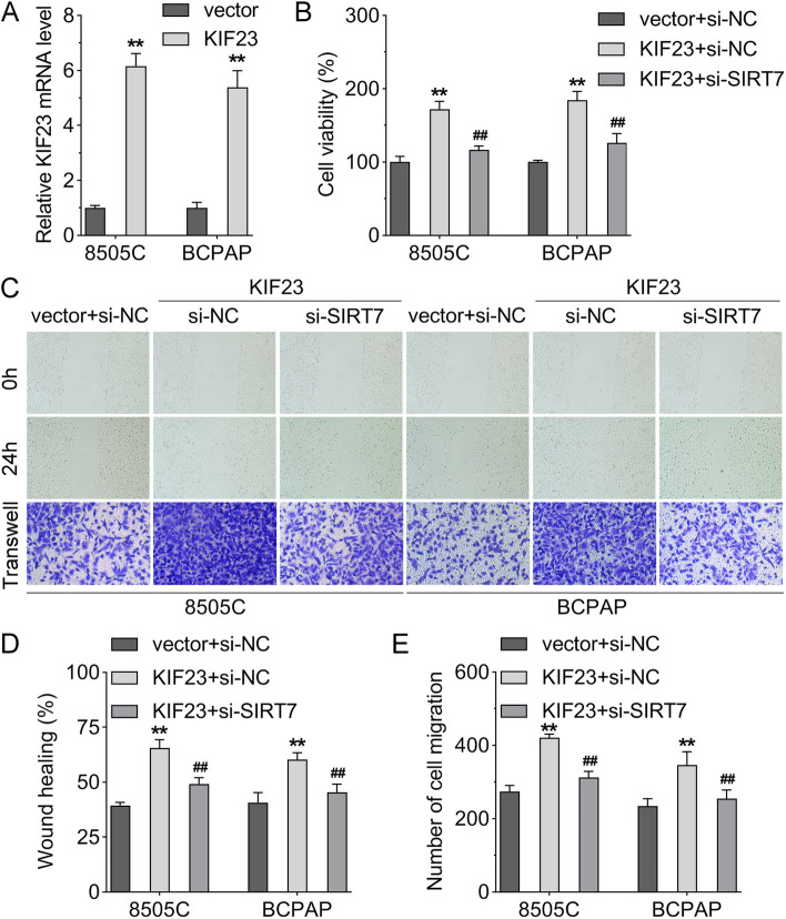 PMC10870498 – Fig5