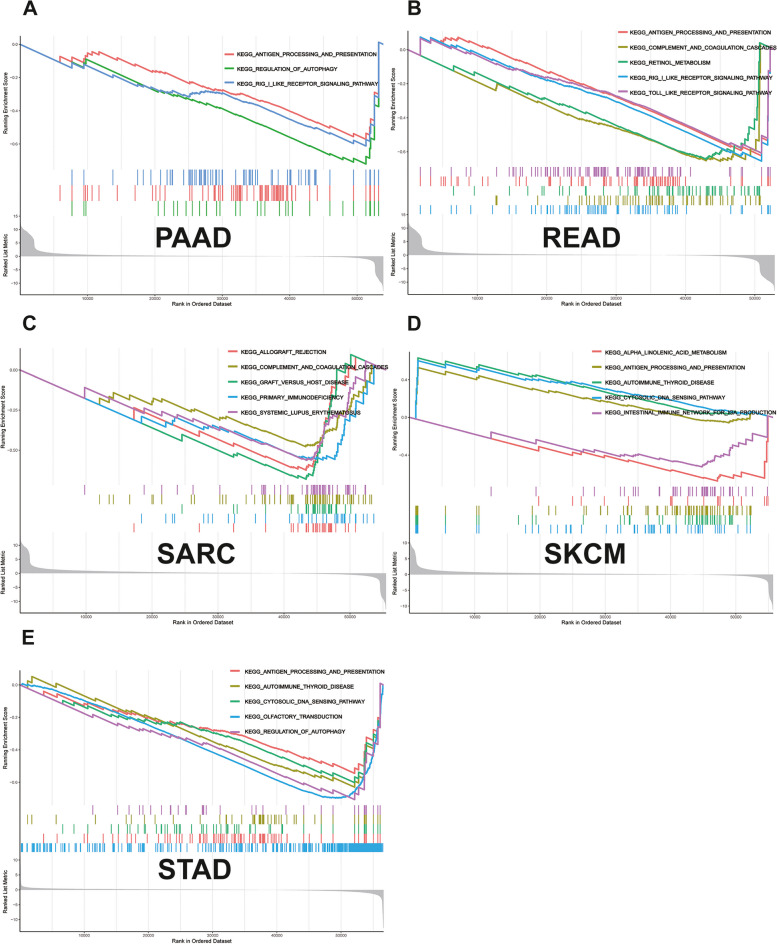PMC10953186 – Fig10