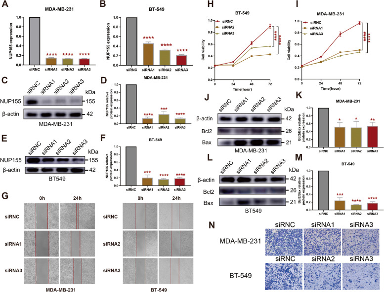 PMC10953186 – Fig11