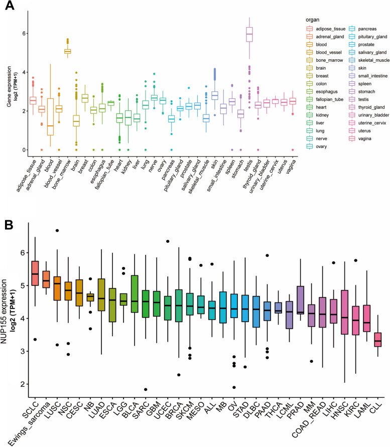 PMC10953186 – Fig1