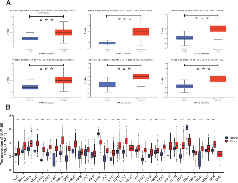 PMC10953186 – Fig2