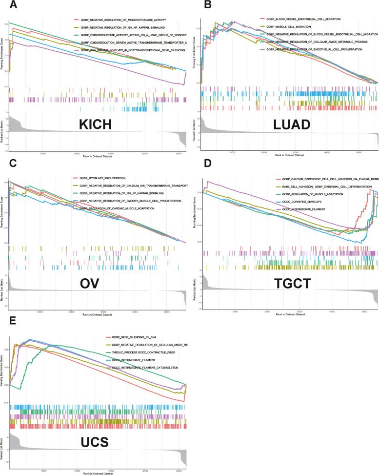 PMC10953186 – Fig9
