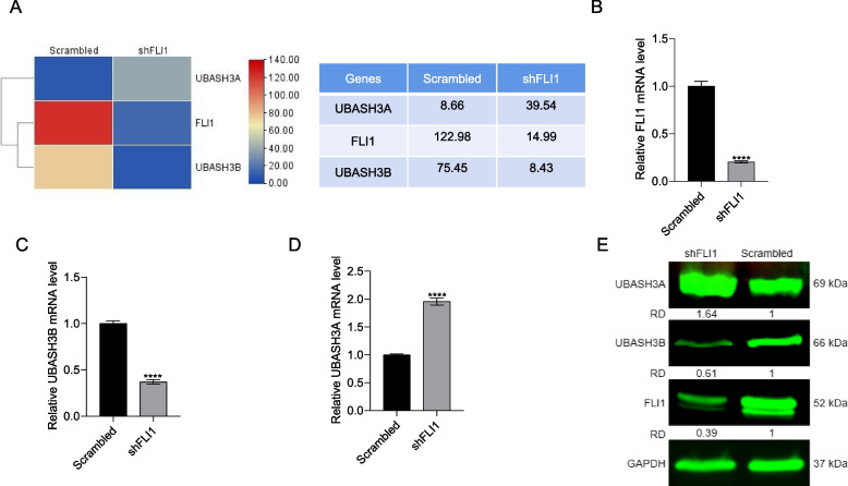 PMC10925000 – Fig1