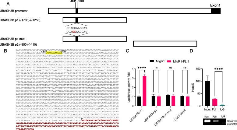 PMC10925000 – Fig2