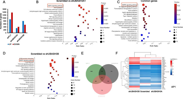 PMC10925000 – Fig5