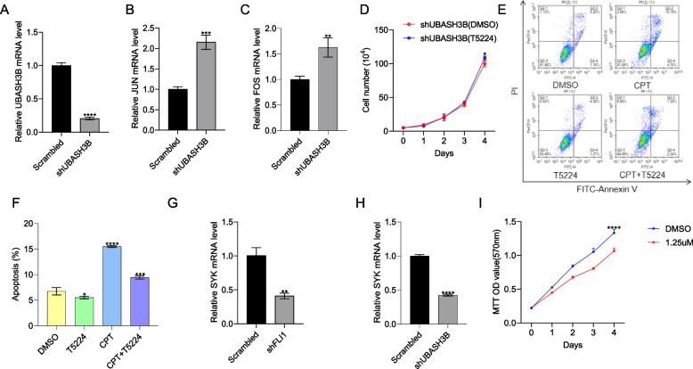 PMC10925000 – Fig6