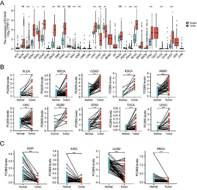 PMC11007992 – Fig1