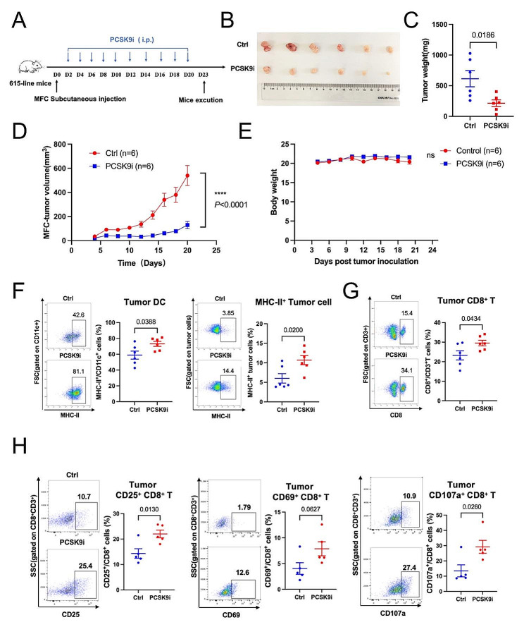 PMC11007992 – Fig5
