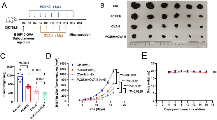 PMC11007992 – Fig6