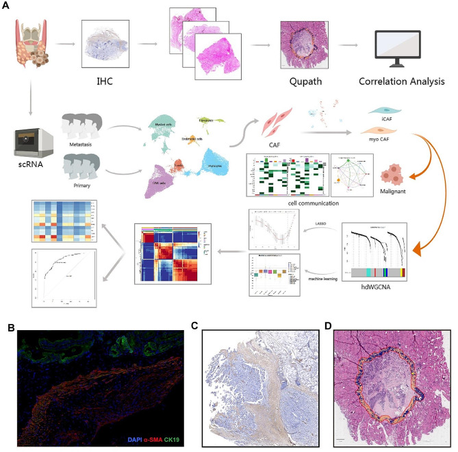PMC11163752 – Fig1