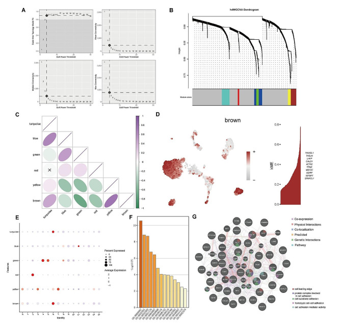 PMC11163752 – Fig3